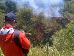 BNPB: Perlu PP untuk Mengatur Standar Pencegahan Kebakaran Hutan