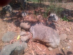 Kisah Warga Bermimpi Diseruduk Sapi Besar karena Permainkan Arca