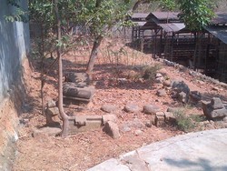 Teka-teki Batu Bulat Berbaris dan Arca Sapi tak Utuh di Peternakan Semarang