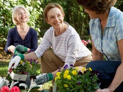 Ide Liburan di Rumah Saat Karantina Corona