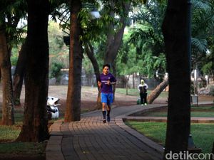 Kementerian LHK Akan Buat Hutan Kota di Senayan