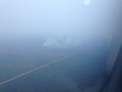 Panja Kebakaran Hutan DPR: SP3 Kasus 15 Perusahaan Seperti Bermain-main Saja