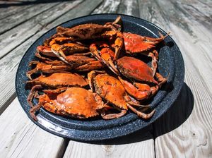 Viral Harga Seafood Melambung di Pasar Kedonganan Bali, Ini Kata Bedesa Adat