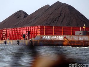 Danantara Belum Danai Proyek Hilirisasi Batu Bara, PTBA Masih Pakai Kas Internal Danantara Belum Danai Proyek Hilirisasi Batu Bara, PTBA Masih Pakai Kas Internal