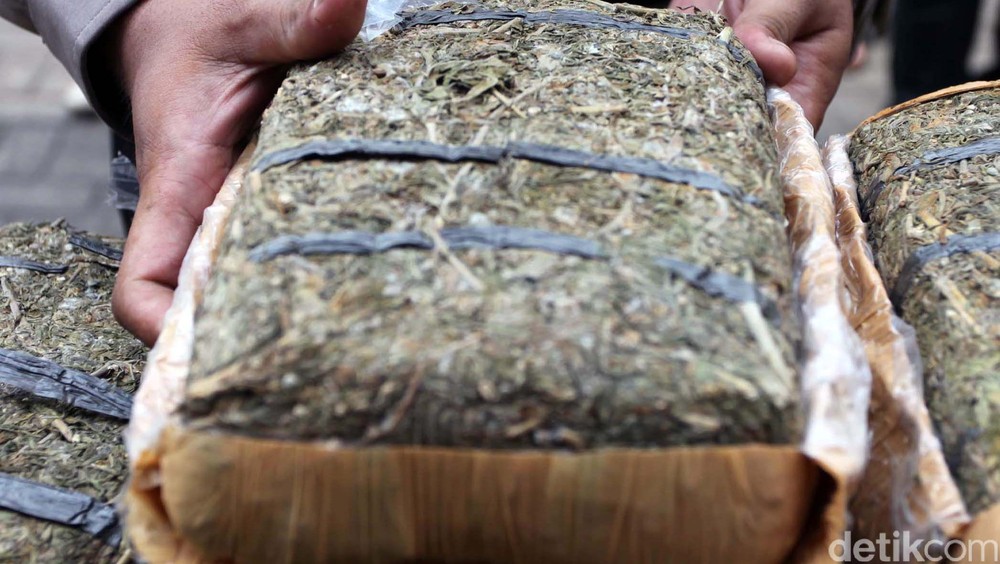 Ganja Ratusan Kilo Ditemukan di Koper Biksu