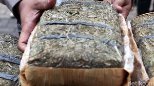 Bawa 110 Kg Ganja dari Thailand, 22 Biksu Ditangkap di Sri Lanka