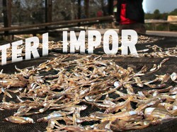 Laut RI Luas tapi Masih Impor Ikan dari China-AS Rp 461 M