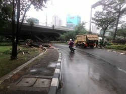 Pohon Tumbang di Kolong Semanggi Sudah Disapu Bersih