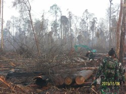 Anggota DPR Minta KLHK Prioritaskan Anggaran Pencegahan Kebakaran Hutan di APBN 2016