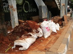 Gali Lubang Tutup Lubang Galian Kabel di Jakarta, Trotoar Cantik Jadi Korban