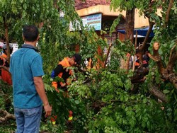 Angin Puting Beliung Terjang Blora, 15 Rumah Rusak