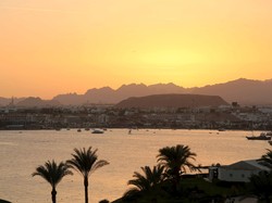 Mesir Interogasi Pekerja Hotel Terkait Jatuhnya Pesawat Maskapai Rusia