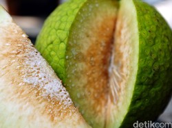 Guru Besar IPB Sebut Sukun Bisa Jadi Superfood, Manfaatnya Nggak Kaleng-kaleng