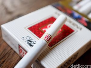 3 Sebab Laba HM Sampoerna Jeblok 11,7%