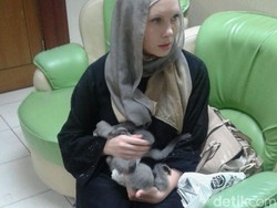 Wanita Kuwait Cantik Ini Ditangkap karena Selundupkan Hewan Langka di Betis