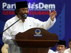 Surya Paloh Soal Pilgub DKI 2017: Ahok Prioritas NasDem