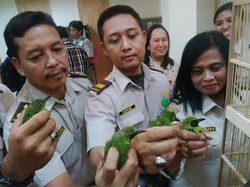 Lagi, Penyelundupan Burung ke Surabaya Digagalkan