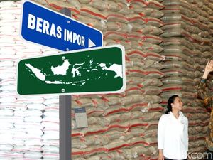 Ada Batas Waktu, RI Hanya Impor 346.000 Ton Beras