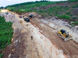 Diincar Investor China, Kaltara Siapkan Lahan 25.000 Ha