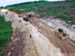 Diincar Investor China, Kaltara Siapkan Lahan 25.000 Ha