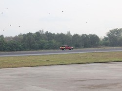 Ratusan Bangau Sempat Mampir Lagi ke Lanud Adisutjipto, Langsung Dihalau