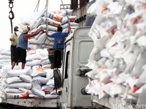 Cara BPS Bantu Pemerintah Putuskan Perlu Impor Beras atau Tidak