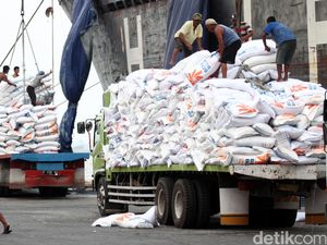 Impor Beras Naik Hampir 5 Kali Lipat, Ini Respons Mentan