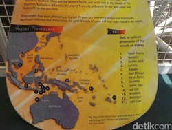 Museum di Darwin: Indonesia Punya Variasi Kapal Terbanyak di Dunia
