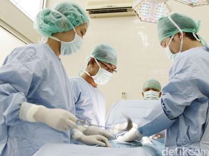 Kisah Percobaan Transplantasi Organ Hewan ke Manusia, Ada yang Berhasil Kisah Percobaan Transplantasi Organ Hewan ke Manusia, Ada yang Berhasil