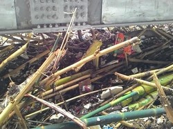 Sampah Kiriman Menumpuk di Sungai di Kawasan Kalibata