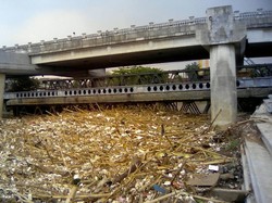 Sampah Kayu Menumpuk di Sungai Kalibata, Ahok Akan Bongkar Jembatan