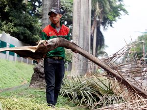 Kalender Jawa Selasa Pahing 5 Mei 2026: Jangan Pangkas Pohon Dulu