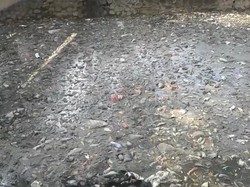 Penampakan Sampah Mengganggu di Kali Rawamangun, Bikin Air Tak Mengalir