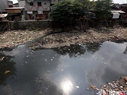 Kondisi Kali di Jakarta Timur, Duh Sampahnya
