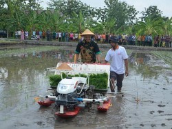 Modernisasi di Bidang Pertanian, Oleh-oleh Gubernur Ganjar dari Belanda