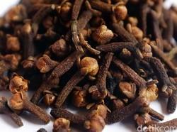 Wanita Enrekang Disidang Usai Gelapkan Uang Cengkeh Rekan Bisnis Rp 167 Juta