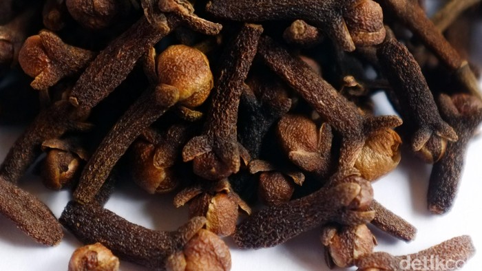 Cengkeh bumbu masak asli Nusantara. dikhy sasra/ilustrasi/detikfoto