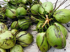 Curi 12 Butir Kelapa, Remaja di Tasikmalaya Nyaris Dihakimi Massa Curi 12 Butir Kelapa, Remaja di Tasikmalaya Nyaris Dihakimi Massa
