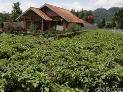 Pengertian HGB dan Aturannya