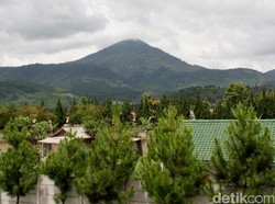 Studi: Orang Berpenghasilan Rendah Lebih Butuh Main ke Tempat Rekreasi Alam