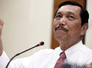 Turun Rp 15 Juta, Anggaran Kantor Luhut Tahun Depan Rp 300 M