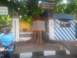 Jangan Heran Lihat Pohon Bersarung ala Bali di Purwakarta, ini Maknanya