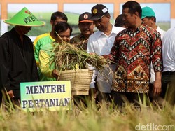 Stok Beras Hampir 2 Juta Ton, Kementan: Sampai Mei 2017 Aman