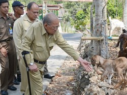 Wagub DIY Paduka Sri Paku Alam IX Meninggal Dunia