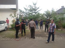 Asyik Cari Biawak, Warga Tangerang Malah Temukan Granat Nanas