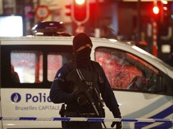 Ketika Warga Belgia Melawan Teror dengan Aksi Kucing