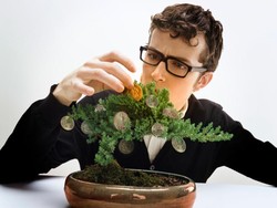 Meletakkan Tanaman Hias di Dalam Rumah Bikin Sehat atau Tidak?