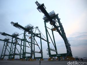 Aplikasi Bea Cukai Down Bikin Pelabuhan Mampet Aplikasi Bea Cukai Down Bikin Pelabuhan Mampet