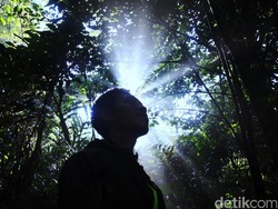 Ketika Masyarakat Hutan Dipidana karena Mengambil Manfaat Hutan