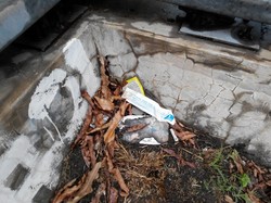 Ada Kondom Bekas di JPO Horor Lokasi Pemerkosaan di Lebak Bulus